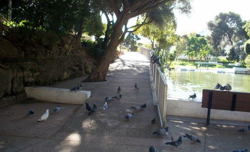 Jardim da Quinta da Alagoa-卡卡维卢斯必去景点