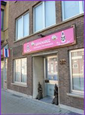Sawasdee Thai Massage景点图片