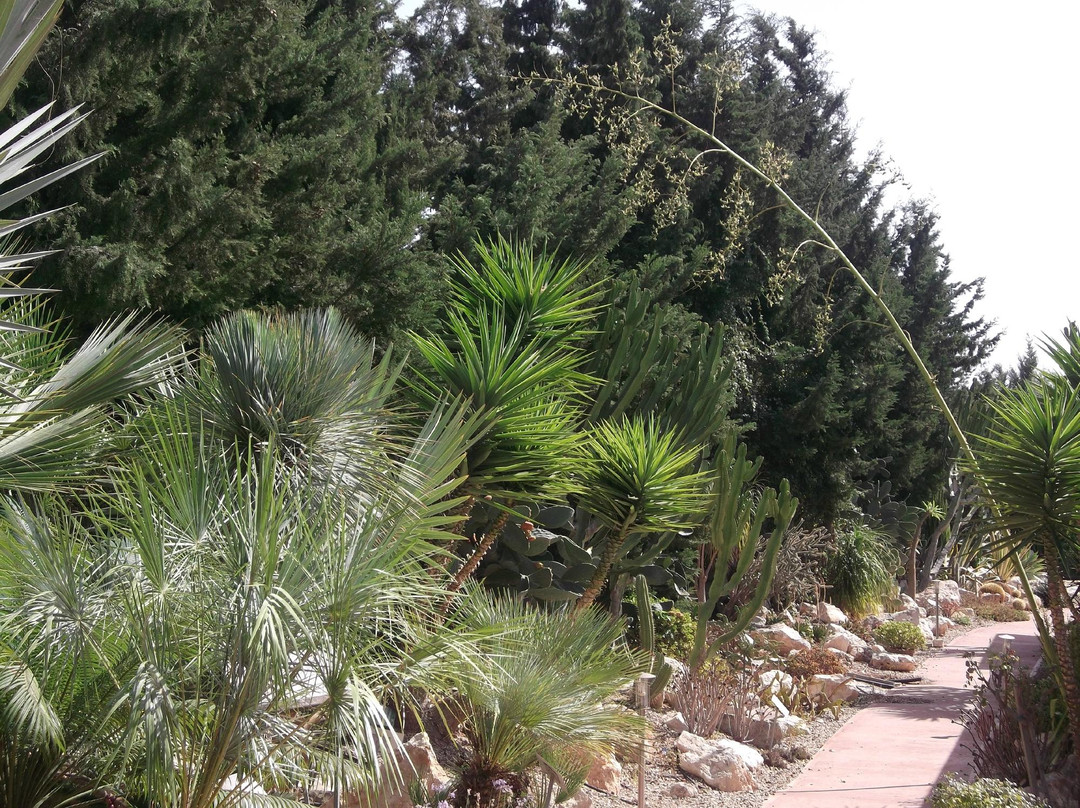 Eleouthkia Traditional and Botanical Park-帕福斯必去景点