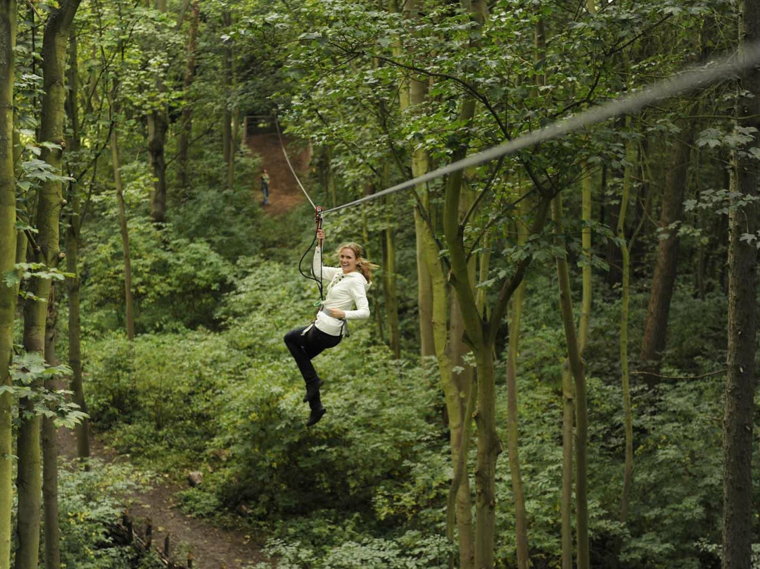 Go Ape Zipline & Adventure Park景点图片