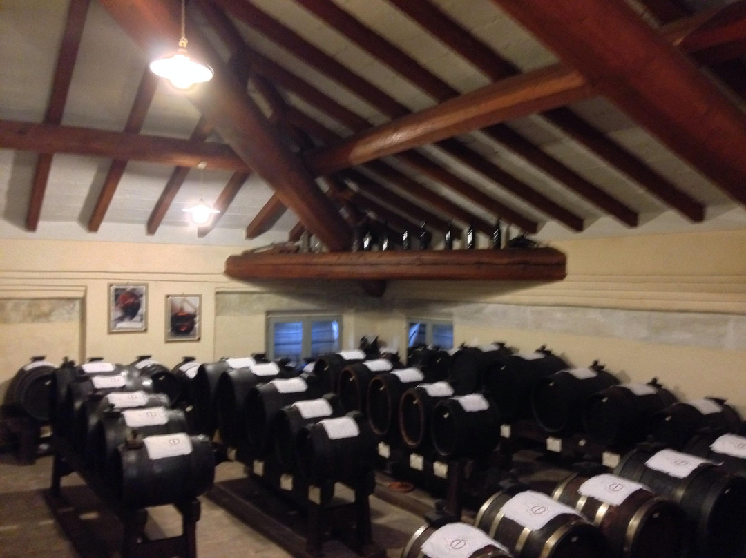 Museum of Traditional Balsamic Vinegar of Modena - Spilamberto景点图片