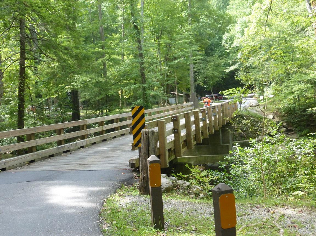 Metcalf Bottoms Picnic Area-大雾山国家公园必去景点