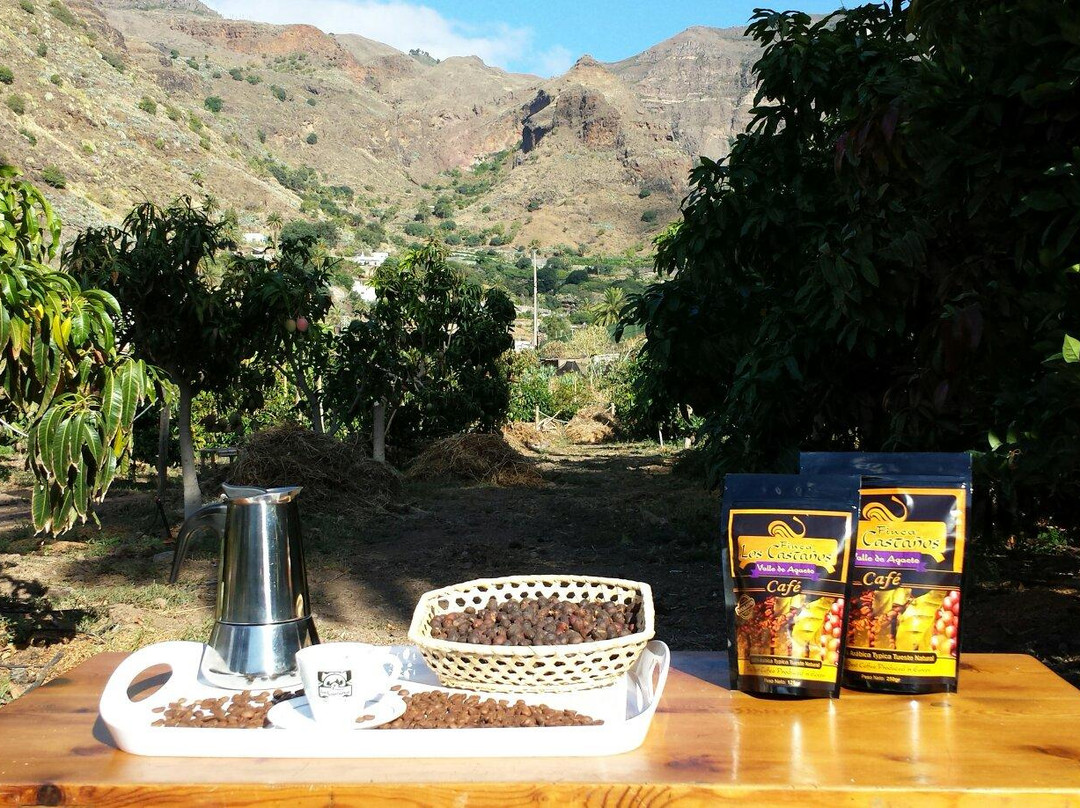 Finca Los Castanos景点图片