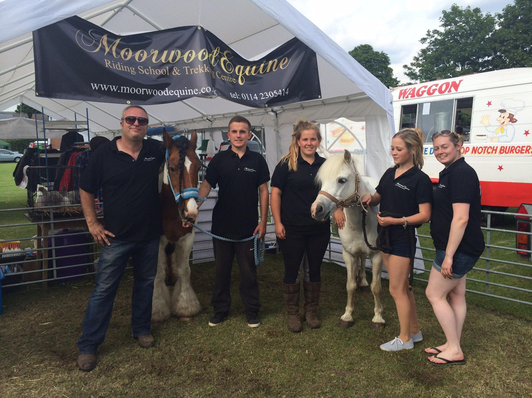 Moorwood Equine-谢菲尔德必去景点