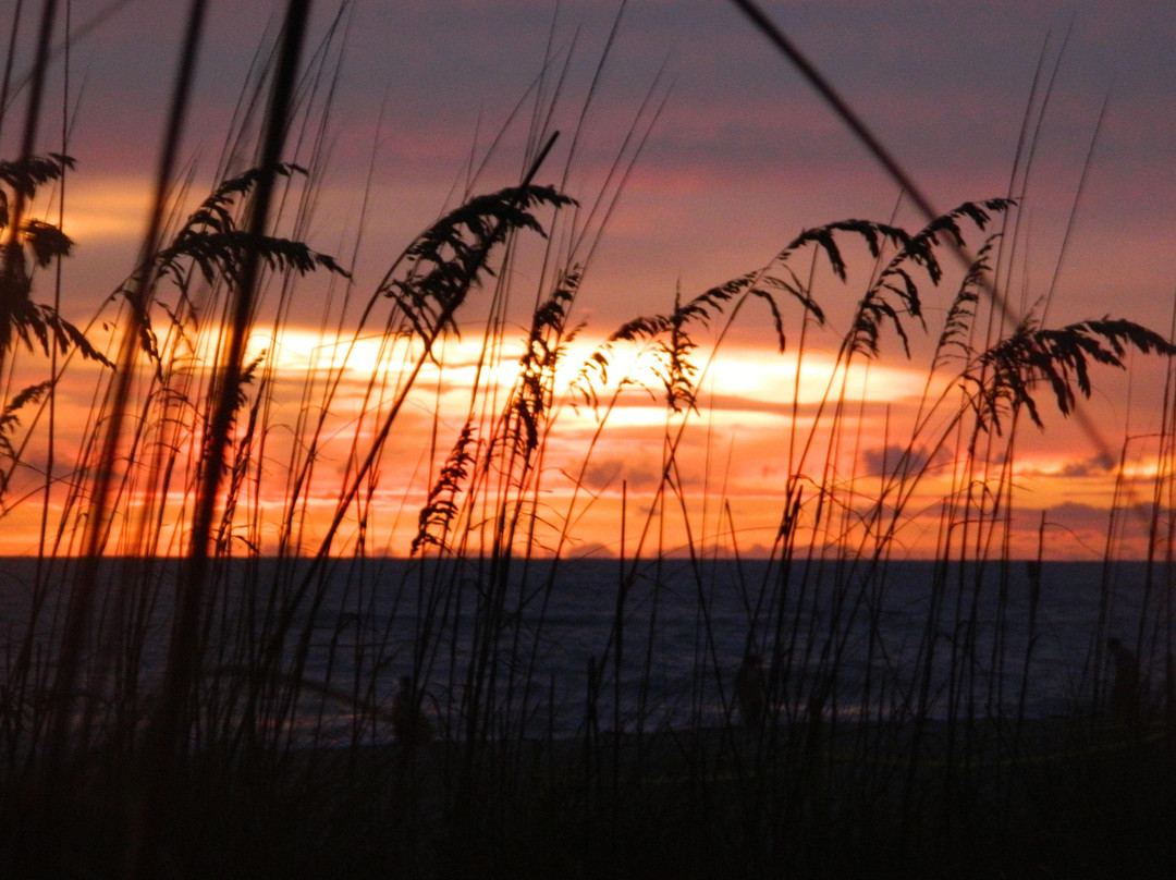 Englewood Beach-恩格尔伍德必去景点