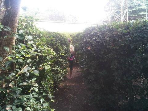 Sengkaling Recreational Park-玛琅必去景点