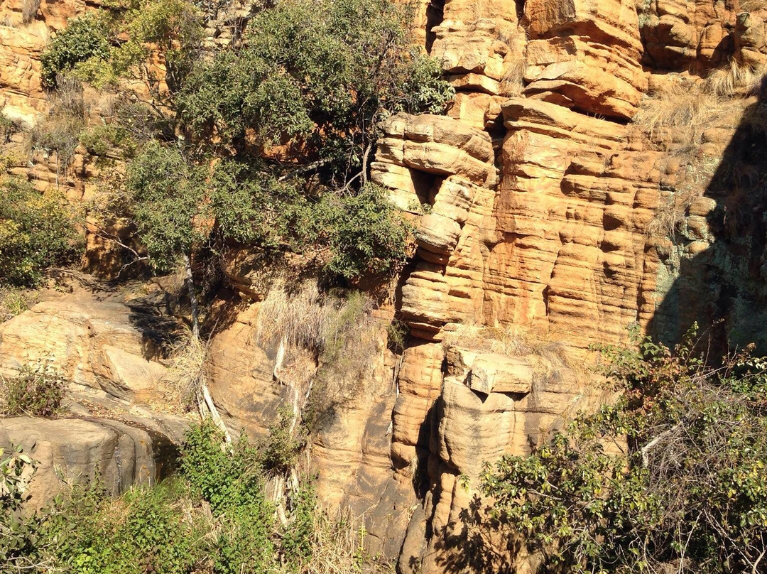 Mountain Sanctuary Park-Magaliesburg必去景点
