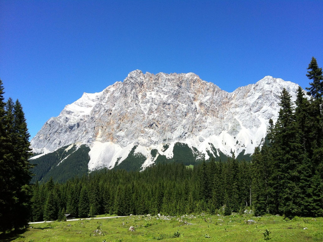 Ehrwalder Almbahn-埃尔森林市必去景点