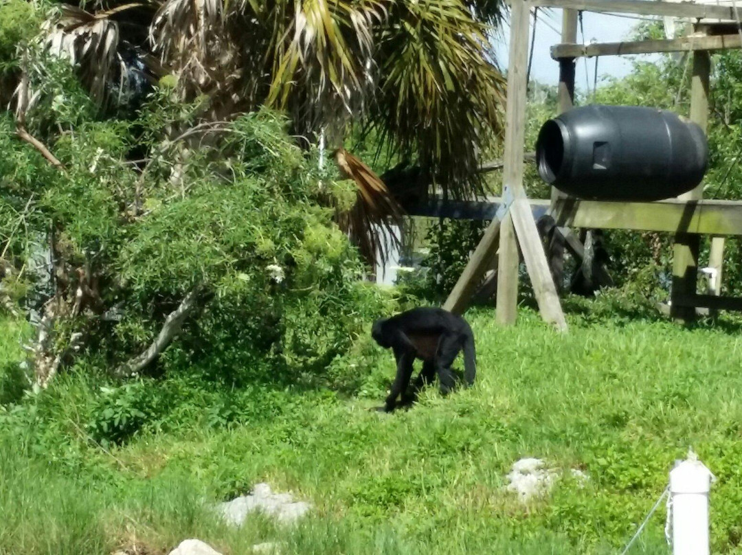 Bird Island-Homosassa必去景点
