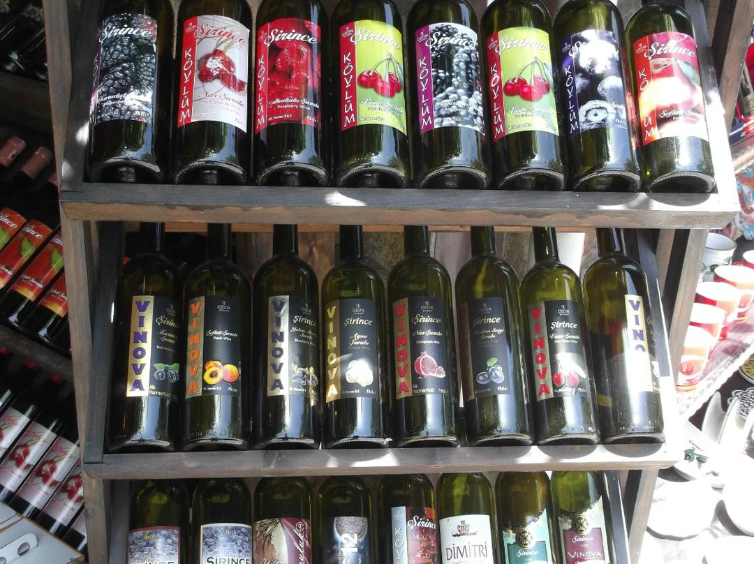 Kaplankaya Winery景点图片