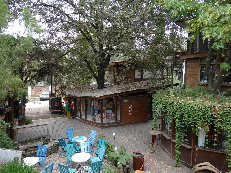 Paseo Mendoza景点图片