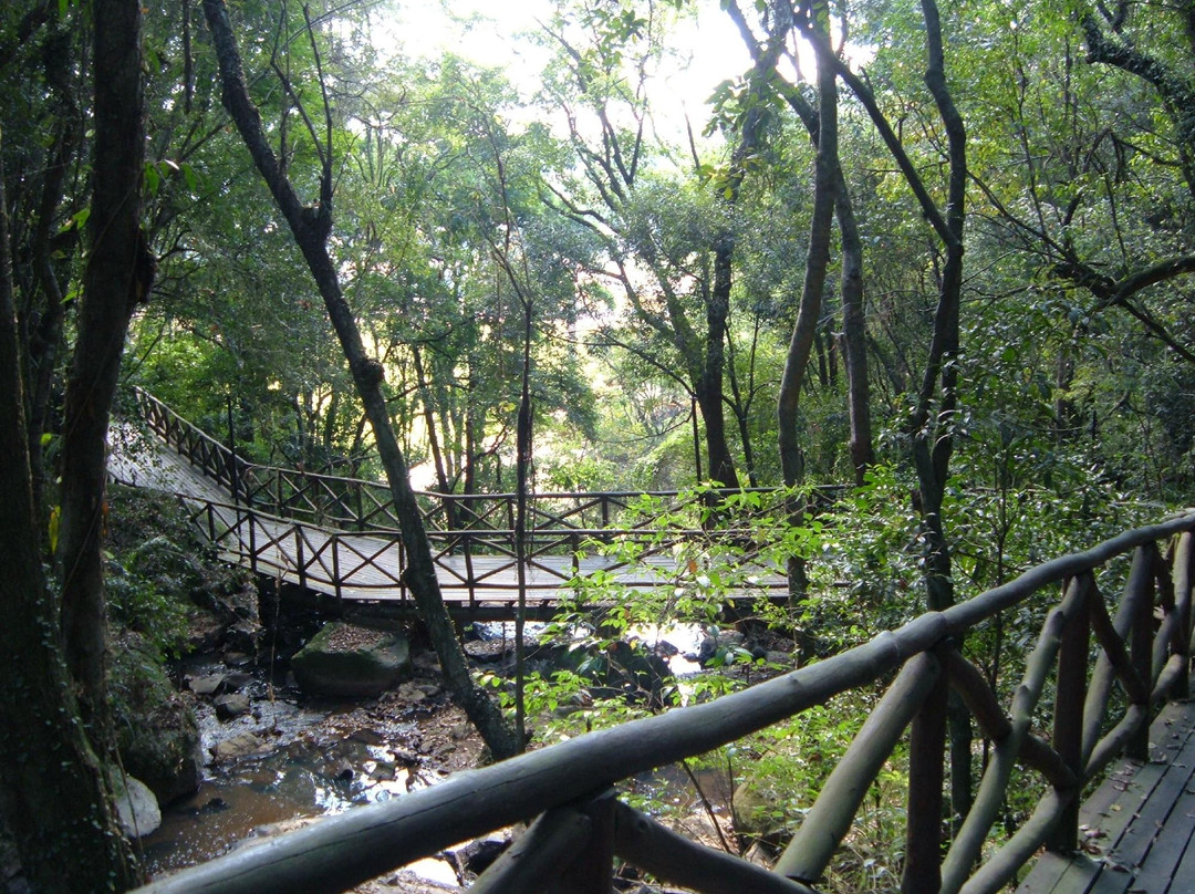 Cascata do Carambei-Sao Roque必去景点