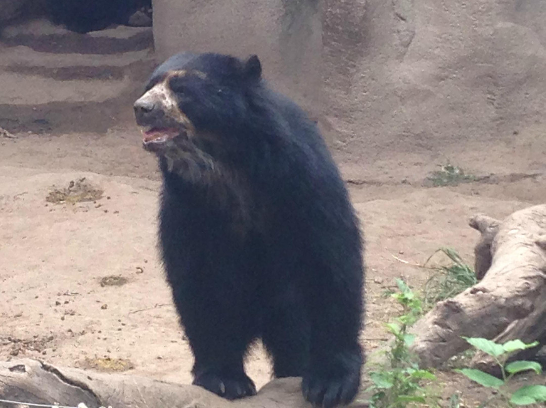 Parque Zoologico La Maxima-Olavarria必去景点