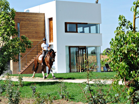 Ronda Dressage-隆达必去景点