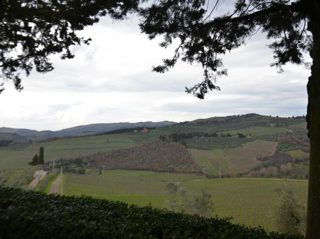Fontodi Winery-Panzano in Chianti必去景点