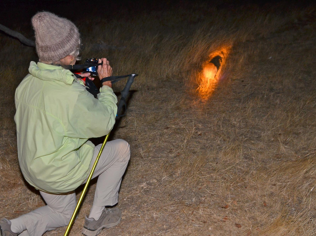 Mount Rothwell Conservation and Research Centre-Little River必去景点