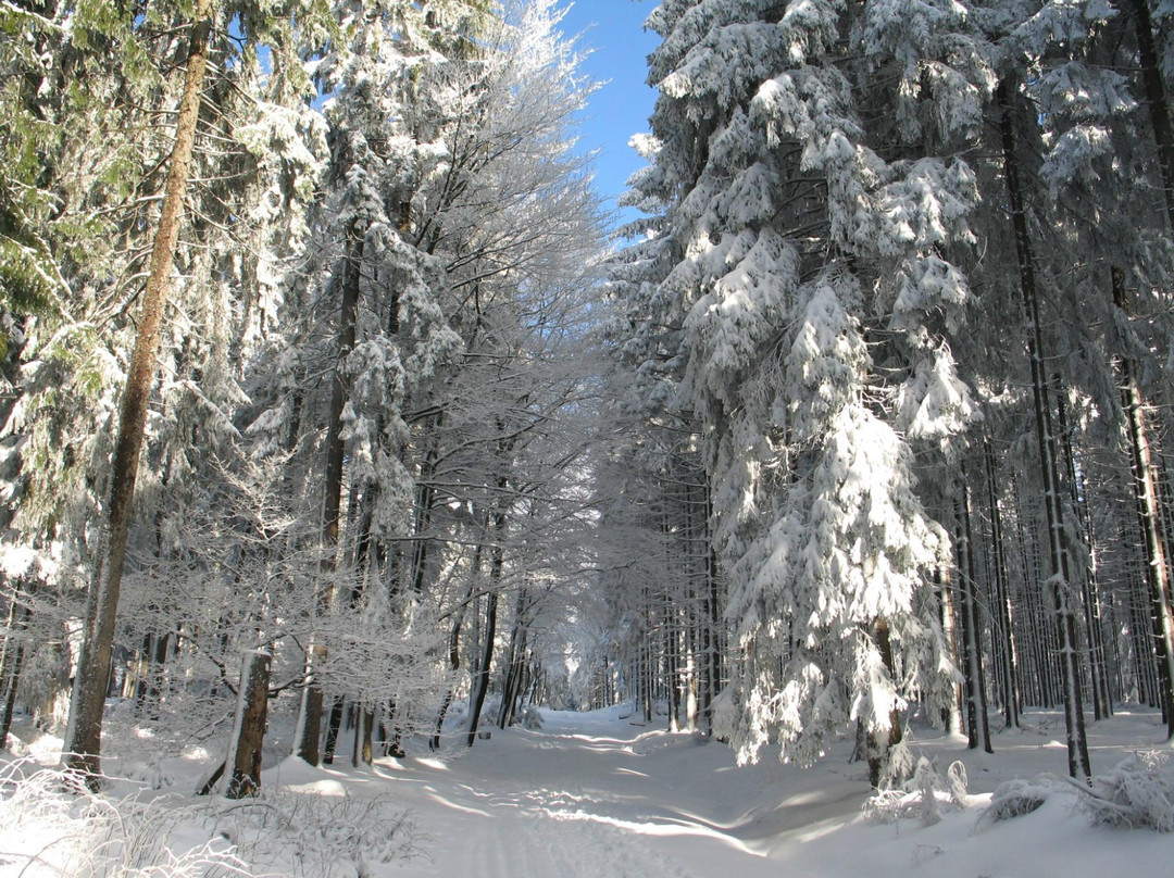 Naturpark Hochtaunus-Oberursel (Taunus)必去景点
