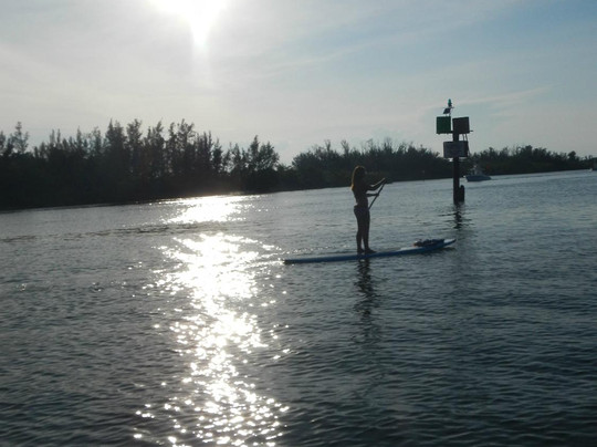 Blueline Surf & Paddle Co.-朱庇特必去景点