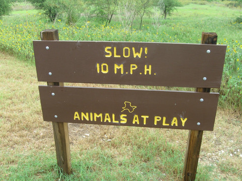 Mitchell Lake Audubon Center-圣安东尼奥市必去景点