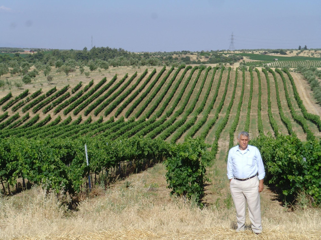 Tzivani Winery-Khalkis必去景点
