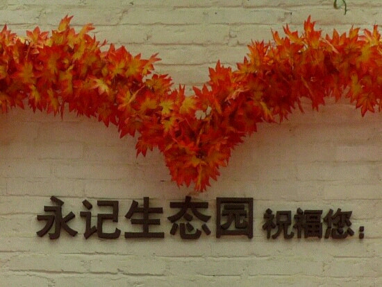 永记生态园-惠东县必去景点