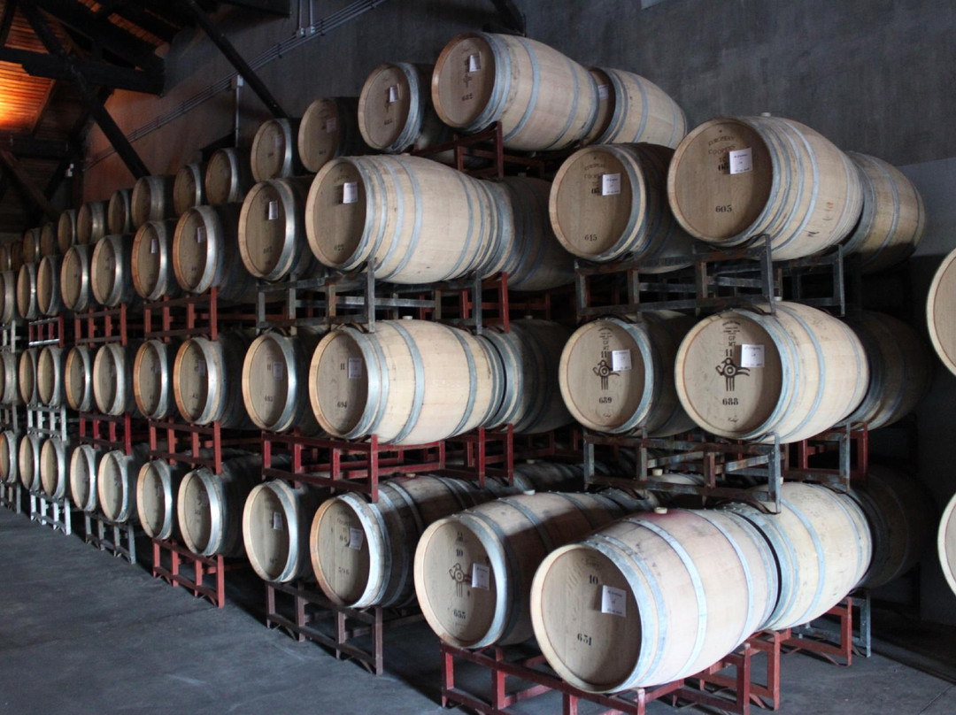 Erasmo-San Javier必去景点