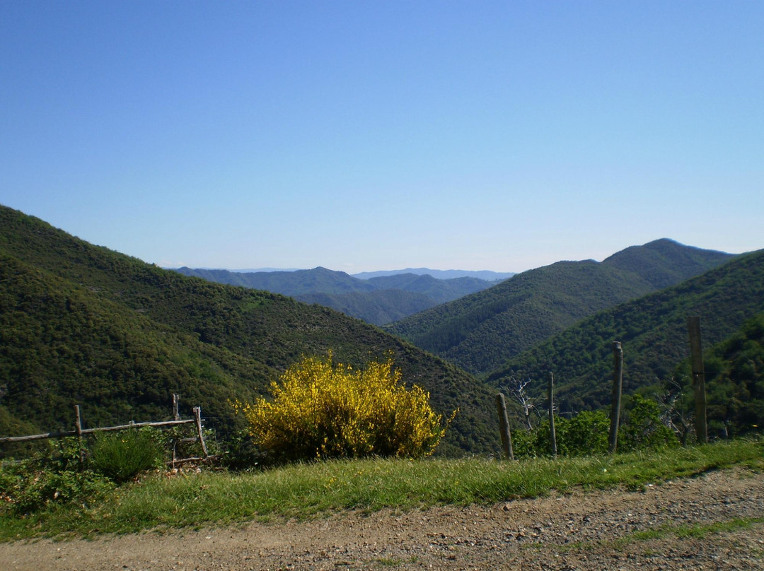 Saint Andre de Valborgne旅游攻略图片