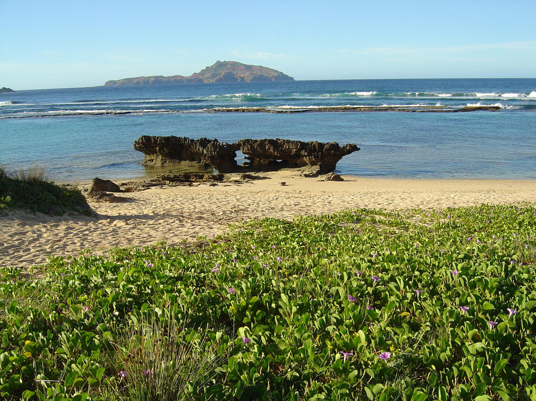 Phillip Island景点图片