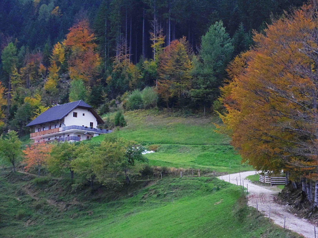 Eisenkappel旅游攻略图片