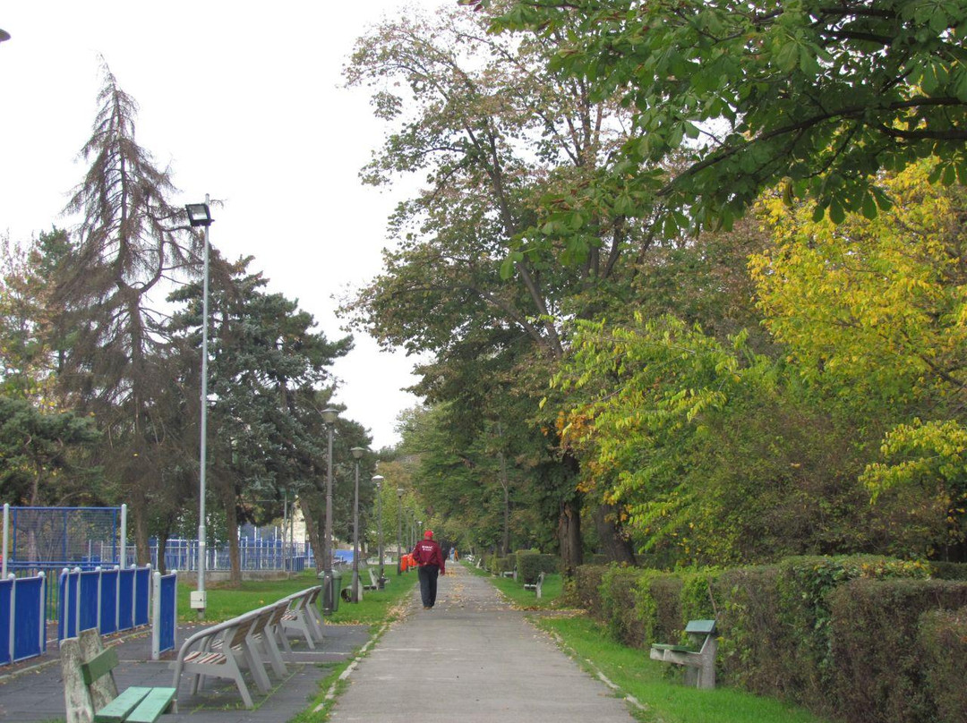 Ion C. Brătianu Park景点图片