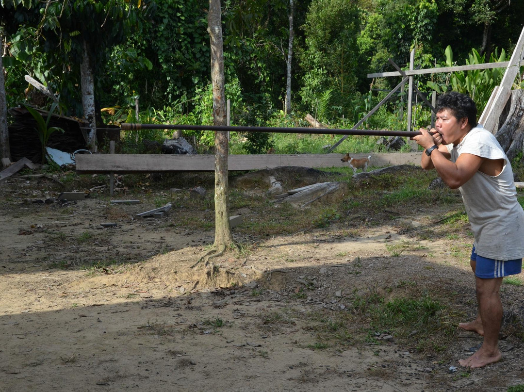 Penan Peace Park Long Kerong-美里必去景点
