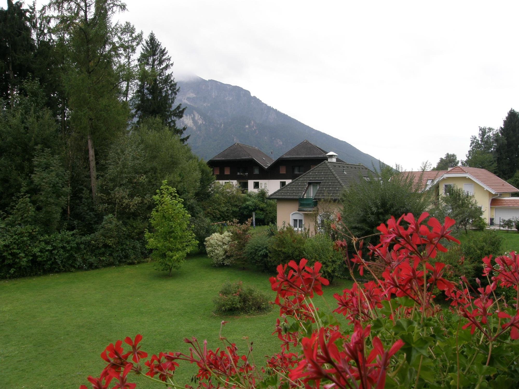 Pension Gallnhof-酒店景观