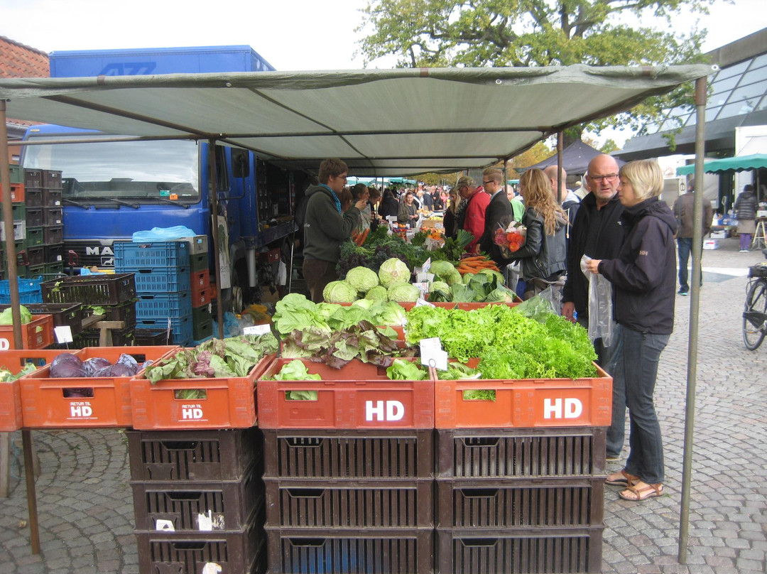 Sortebroedre Torv-欧登塞必去景点