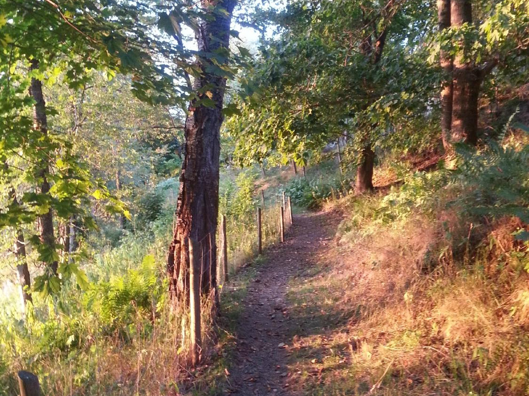 Prästbergets Vandringsled景点图片