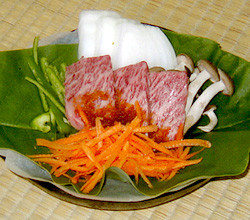 白川村酒店住宿-贯地谷客店