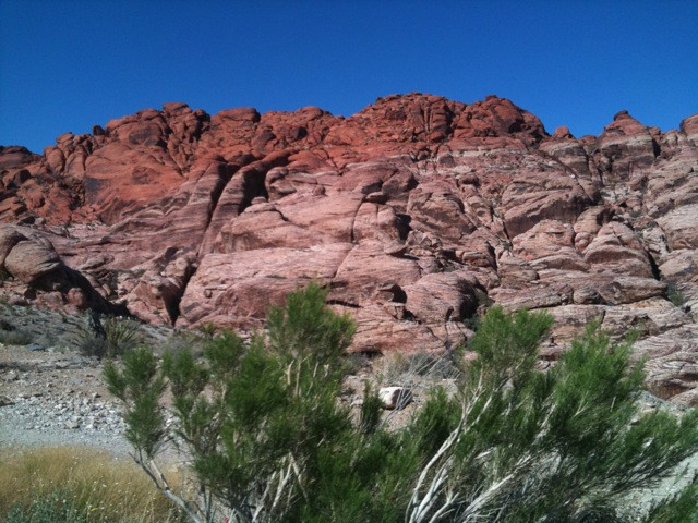 红岩峡谷国家野生生物保护区-拉斯维加斯必去景点