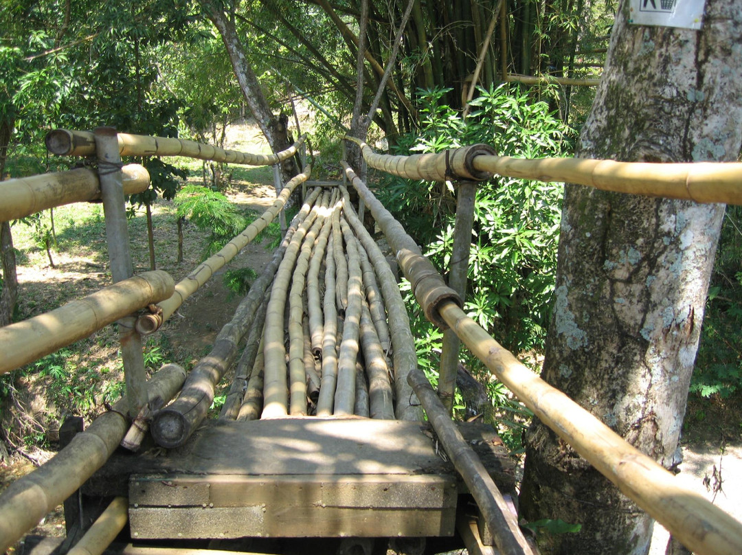 Mayfield Falls & Mineral Springs Original景点图片