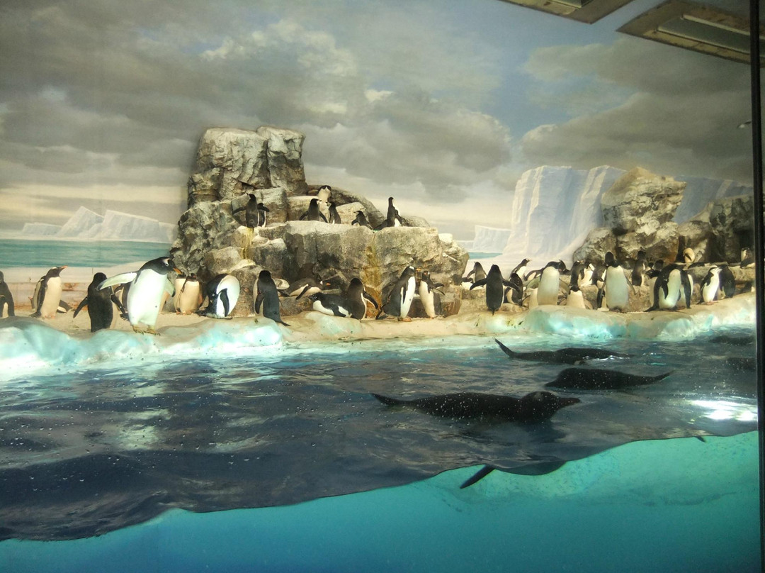 名古屋港水族馆-名古屋市必去景点