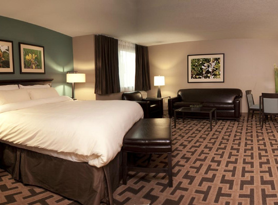 Bear Claw Casino and Hotel主图