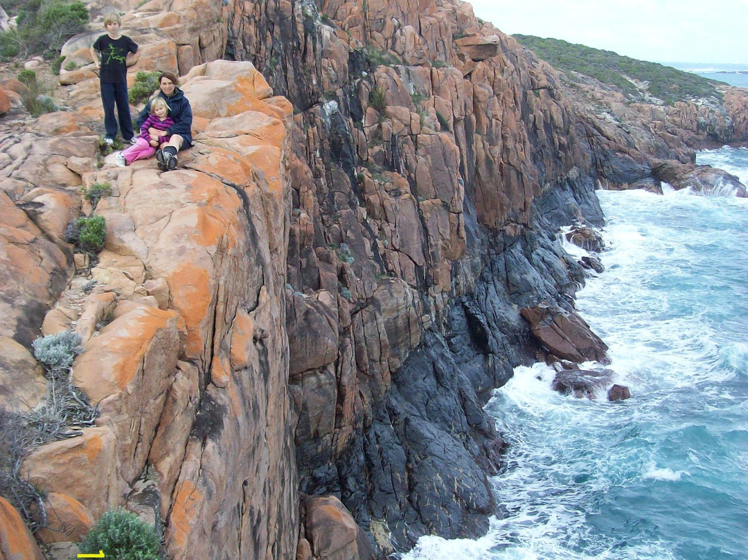 Hamelin Bay旅游攻略图片