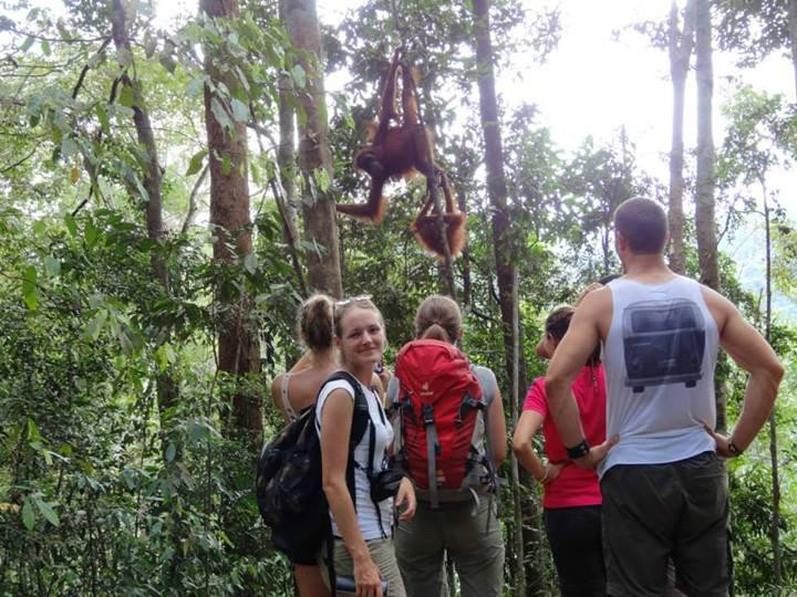 Bukit Lawang Holiday-武吉拉旺必去景点