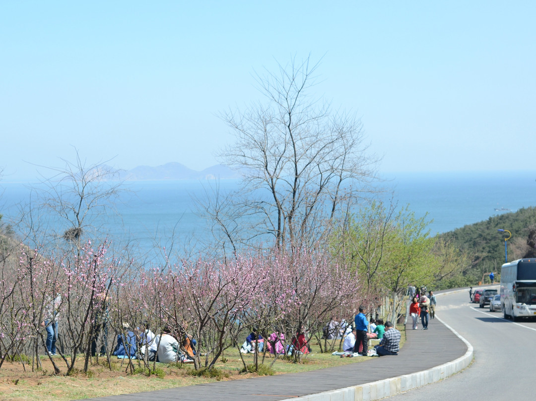 海之韵公园-大连市必去景点