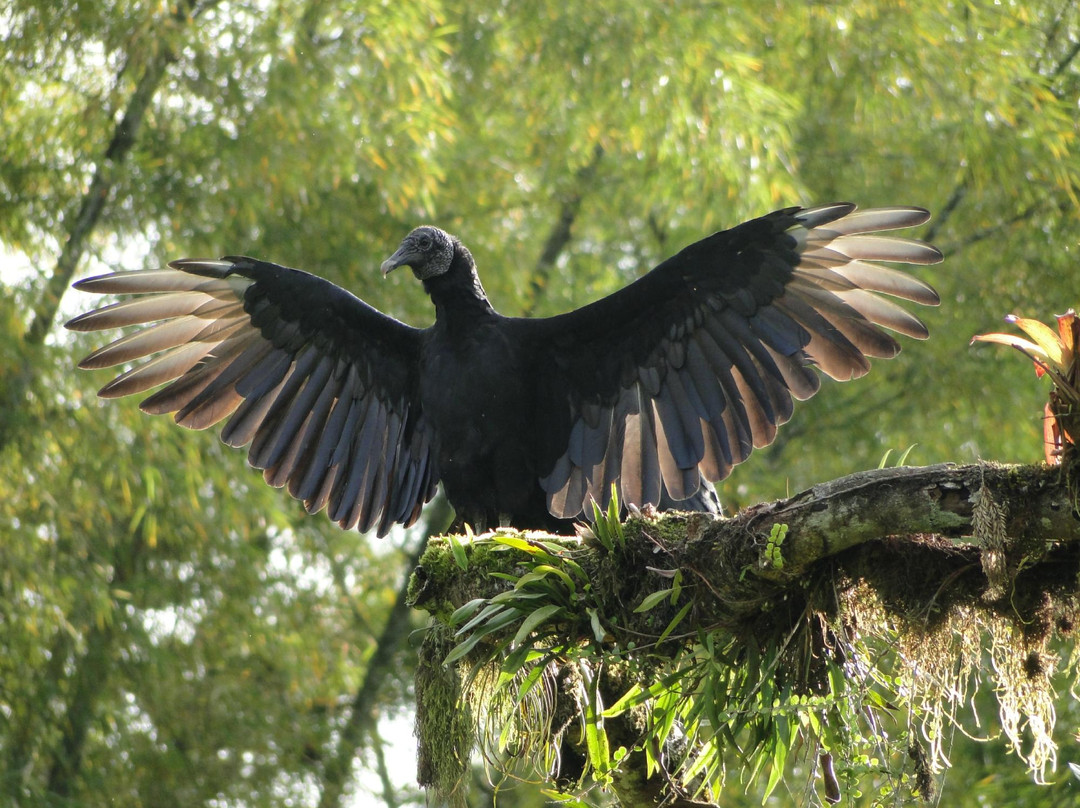 MindoXtrem Birds-明多必去景点