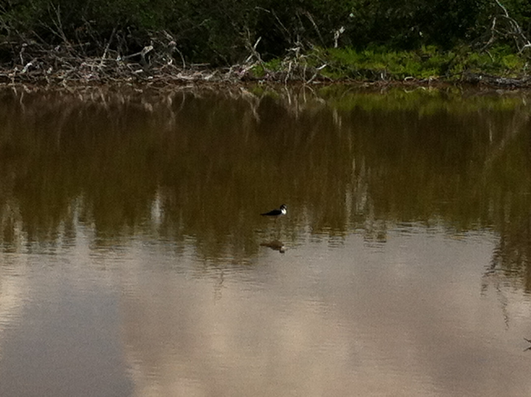 Eco Pond-大沼泽国家公园必去景点