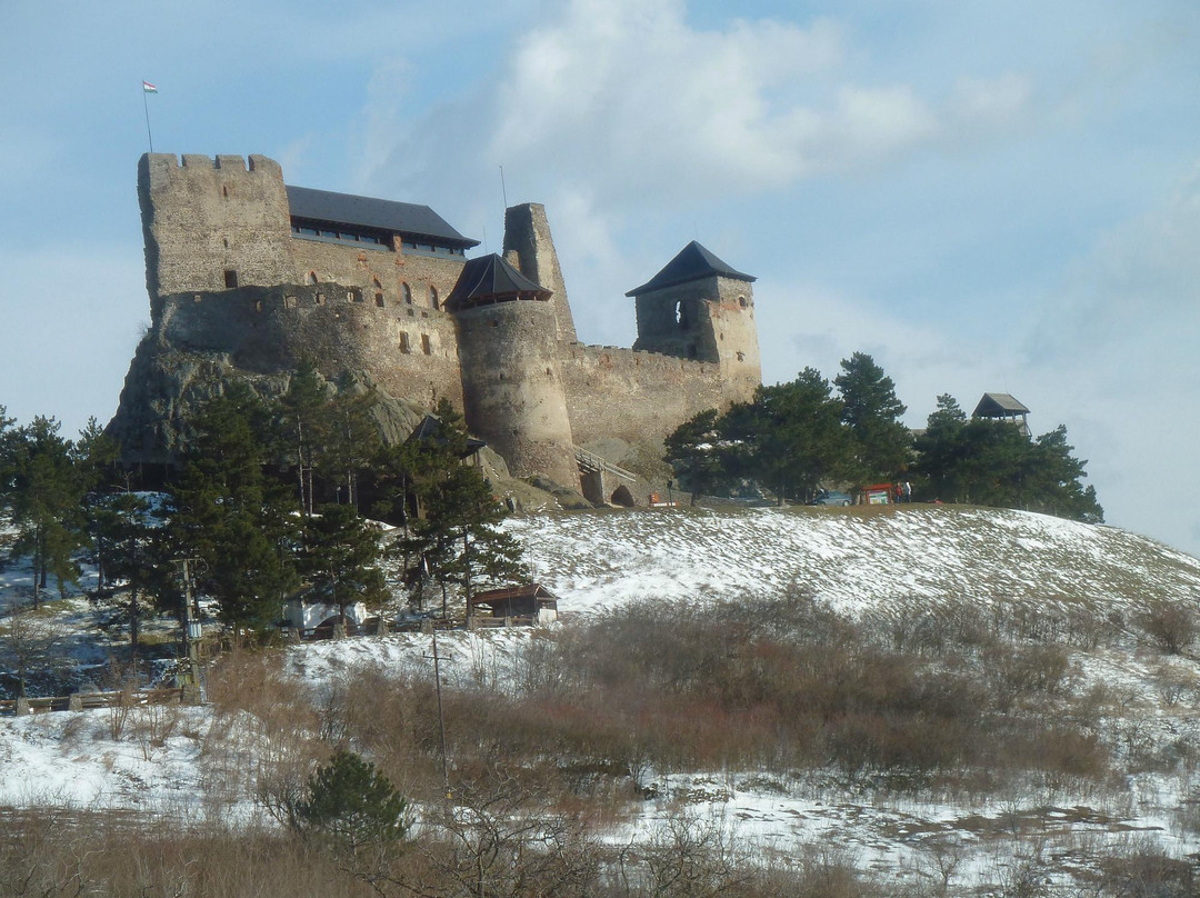 Castle of Boldogko景点图片