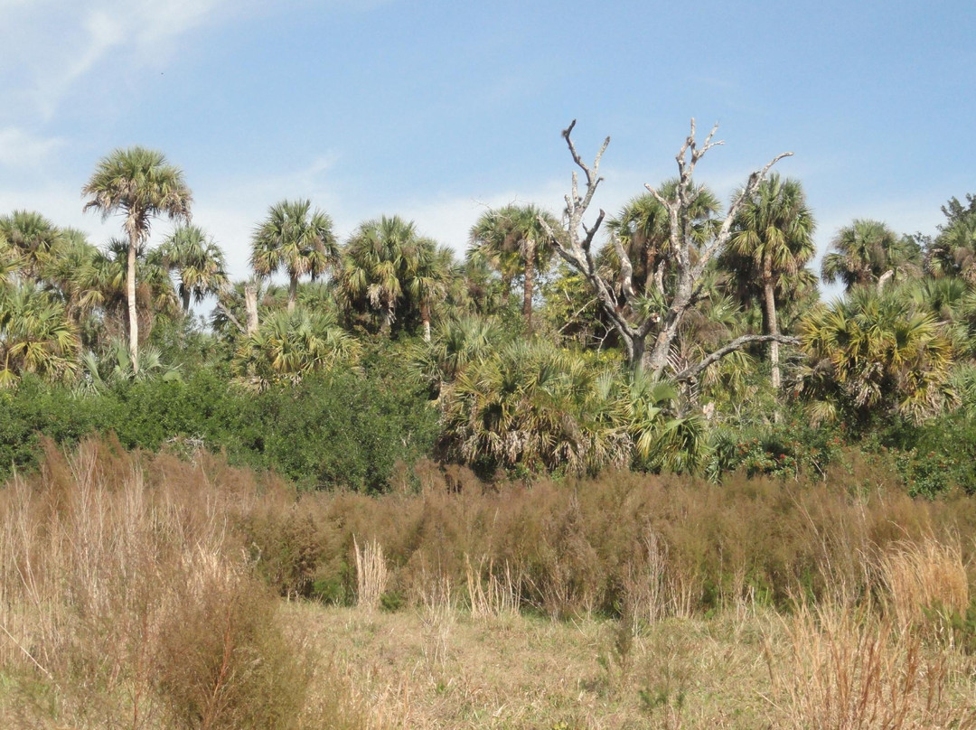Paleo Hammock Preserve-圣露西港必去景点