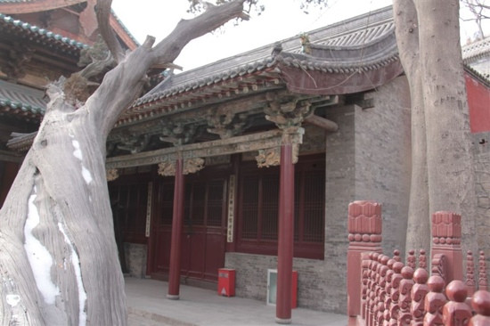 周柏唐槐-太原市必去景点