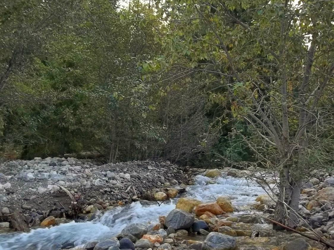 Water's Edge Bed and Breakfast主图