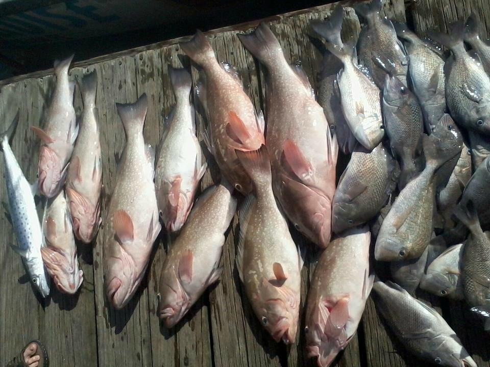 Paradise Fishing Charters-Don Pedro Island必去景点