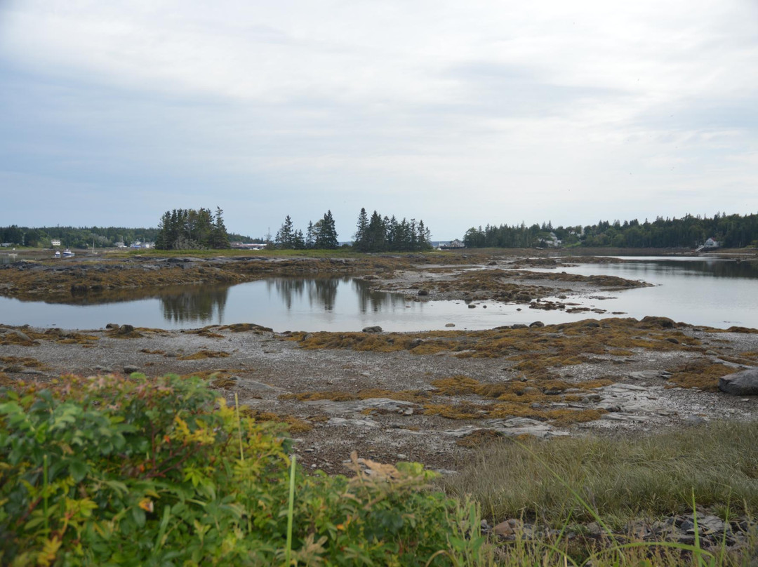 Ann's Point Inn主图